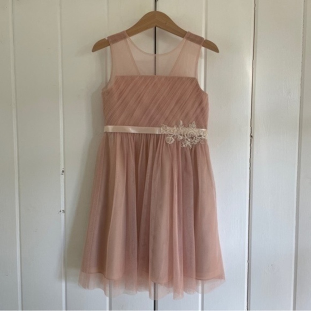 Jenny Yoo Zoe Floral Applique Tulle Dress​​​​
